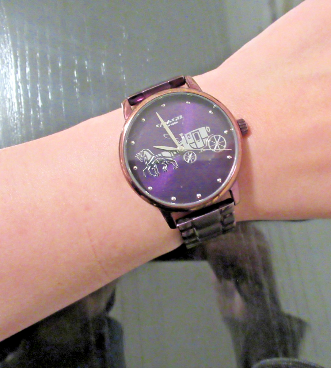 Coach Watch Analog Women or Teen