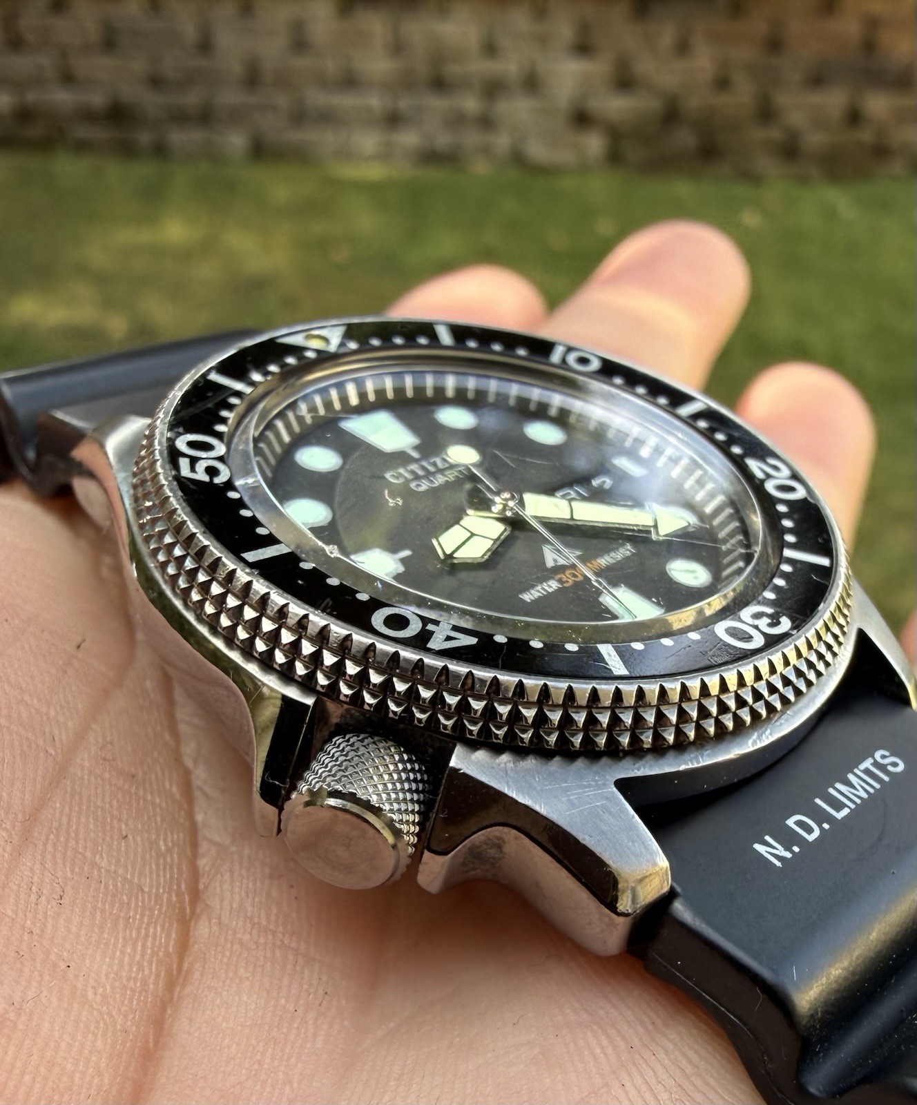 Citizen Vintage Divers watch Gun Metal.