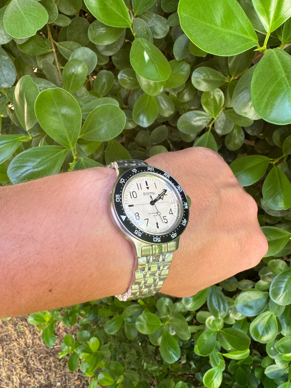 Vostok Amphibia 720070 Watch Antarctica Diver Mechanical Automatic US SELLER