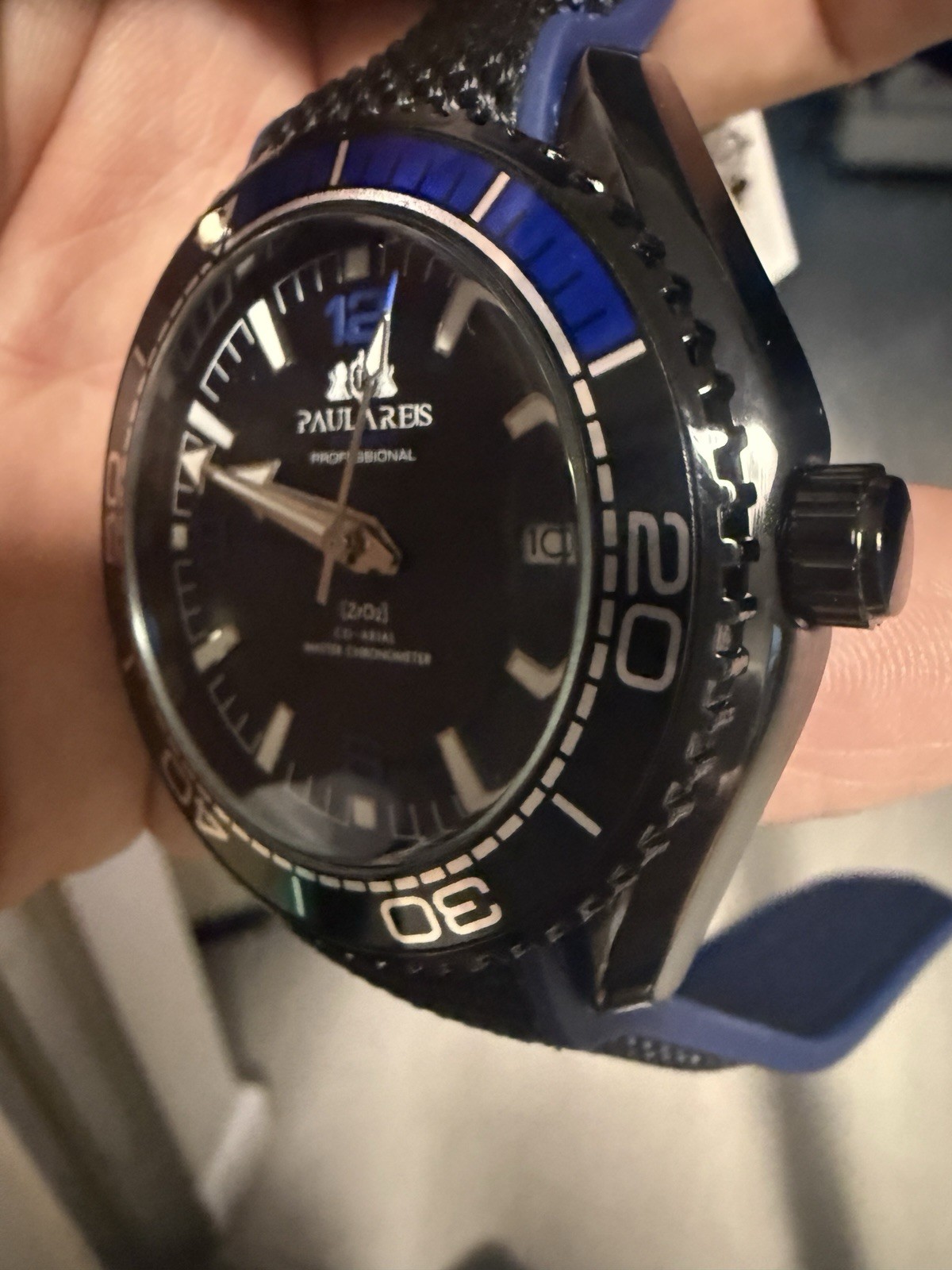 PAULAREIS Casual Waterproof Men’s Watch Luminous Automatic Mechanical Great Gift