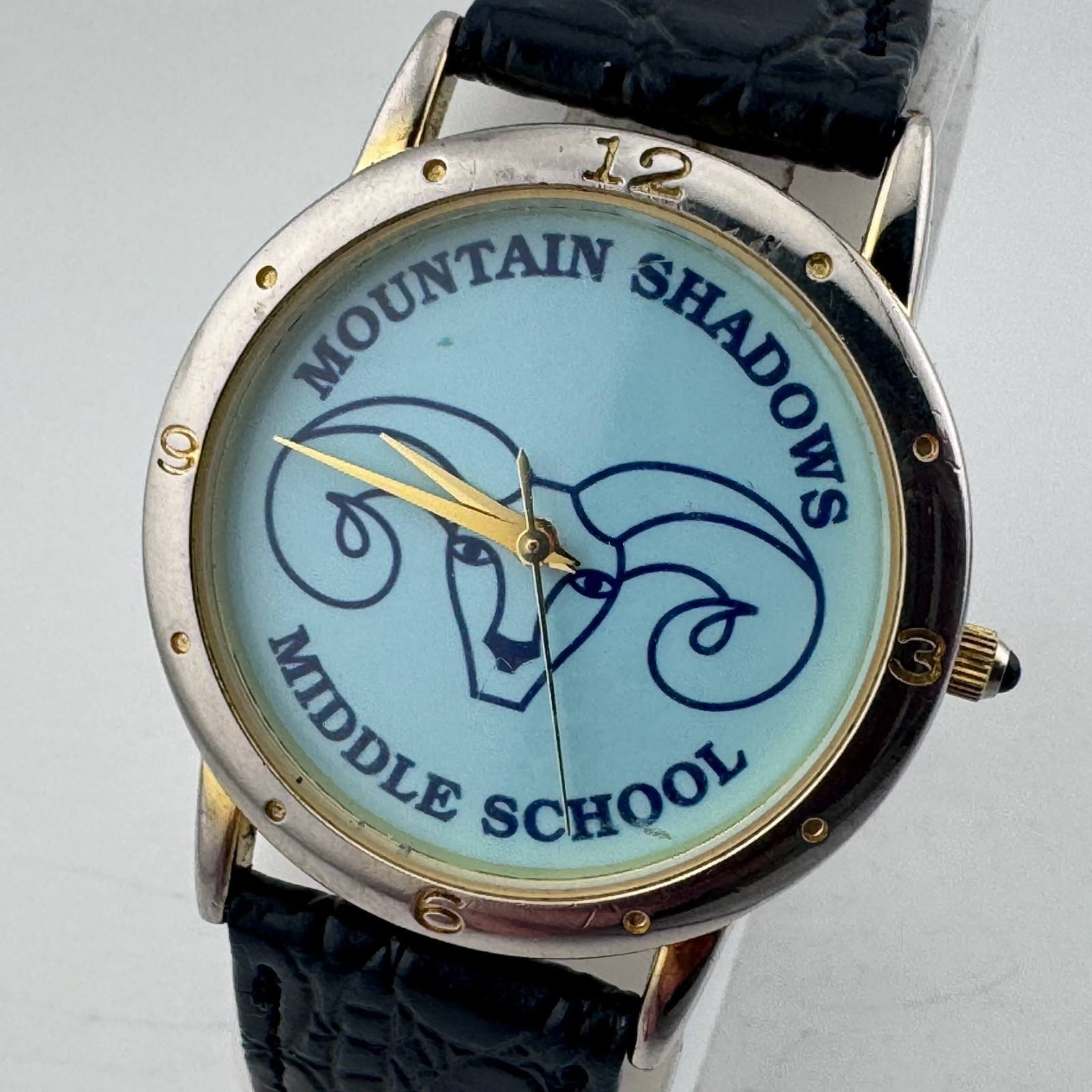 VTG Image Quartz Watch Mountain Shadows Middle School Men Leather New Battery