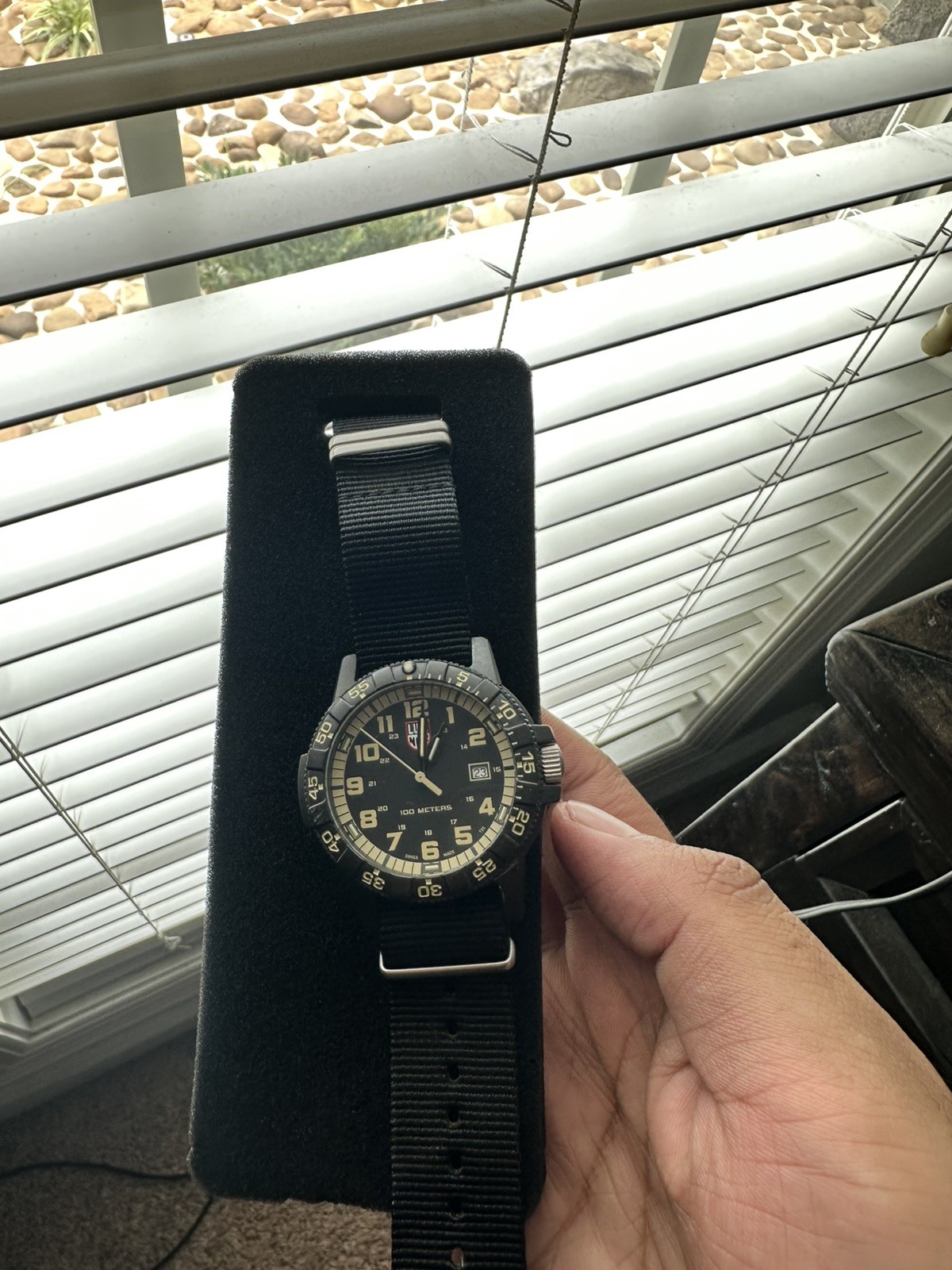 Luminox Leatherback SEA Turtle Giant