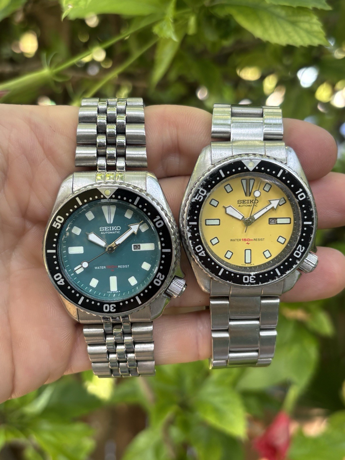 Seiko 38mm Dive Watches 150m Automatic