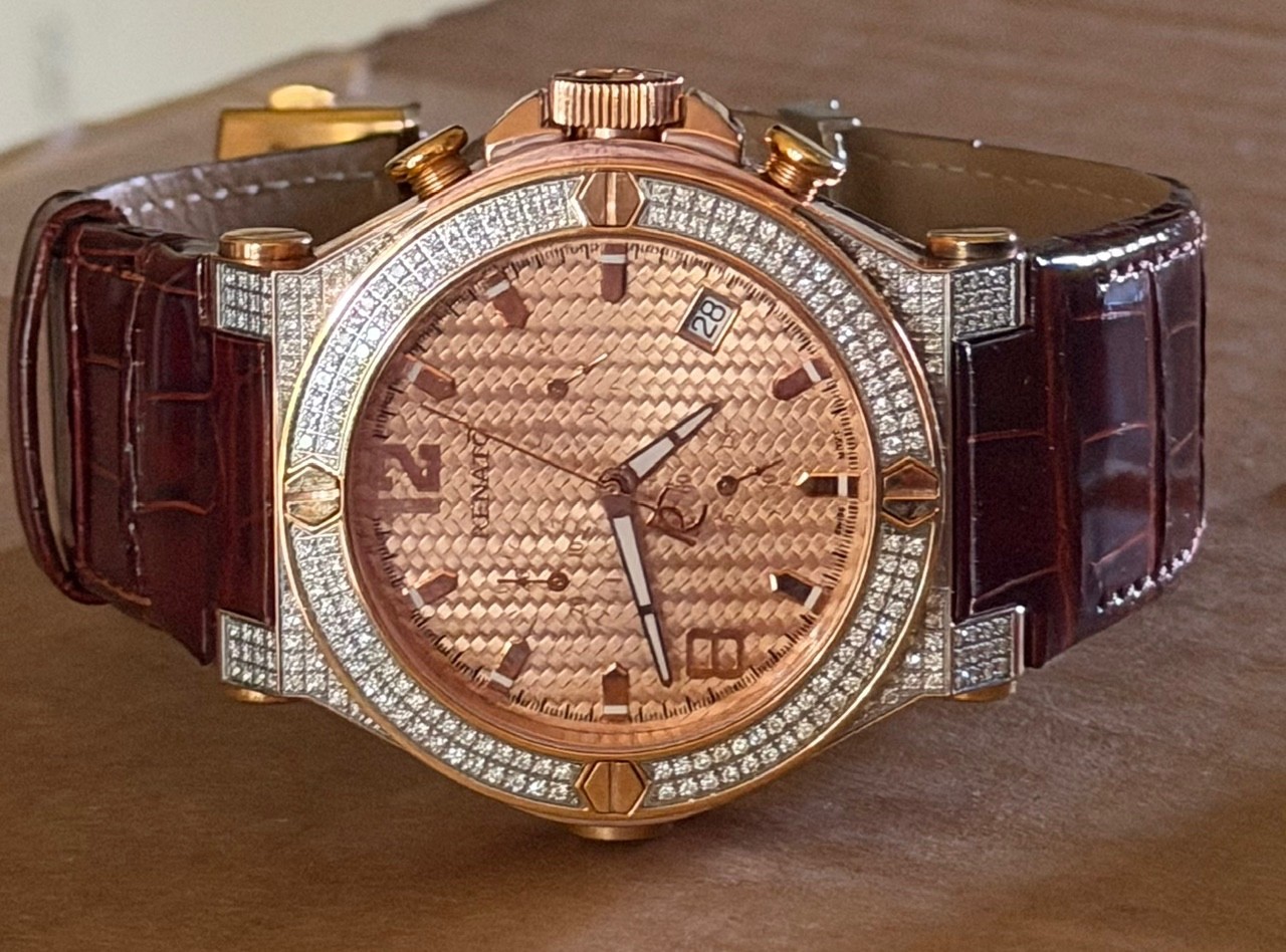 Renato Wilde Beast Ltd. Prod. 56/180 Worldwide DIAMONDS 49mm Case Men’s, but….