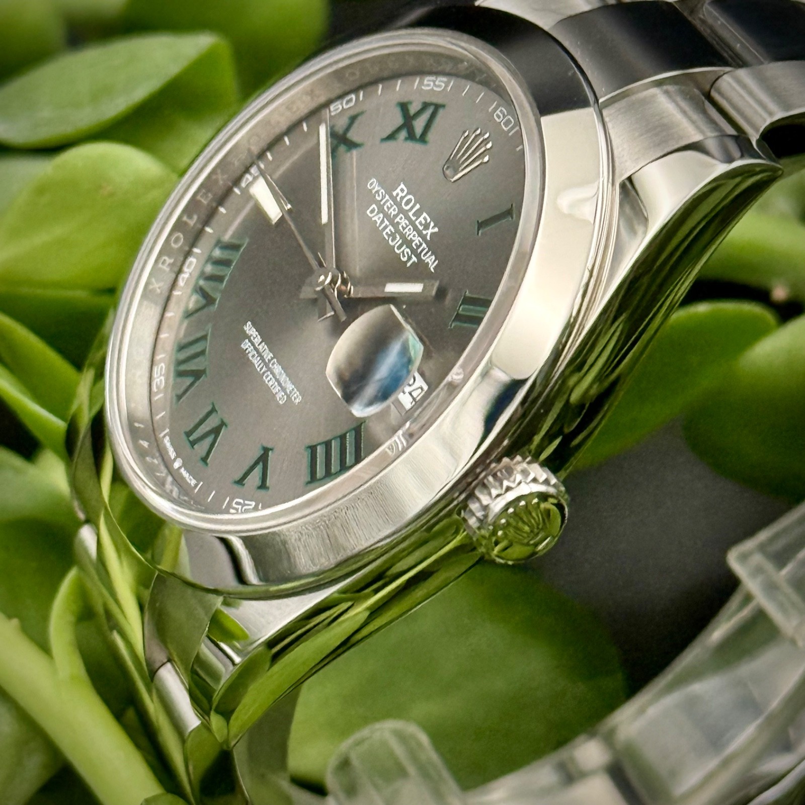 Rolex Datejust 41 Wimbledon Chronometer 126300