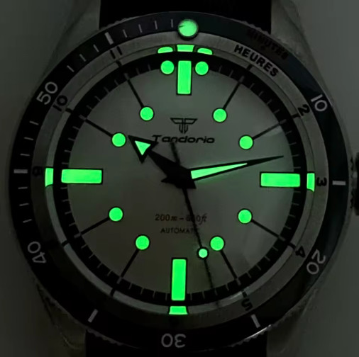 20ATM Diver Tandorio 40mm Retro Sapphire Automatic NH35A Miyota8215 Men Watch