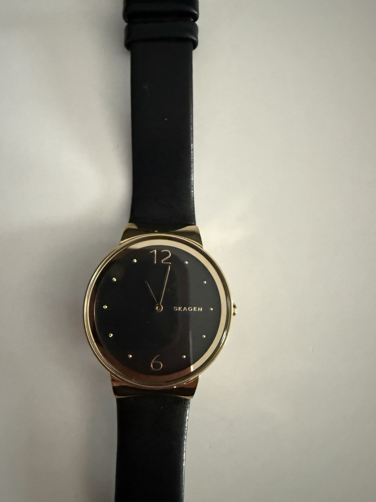 Women’s Skagen Watch