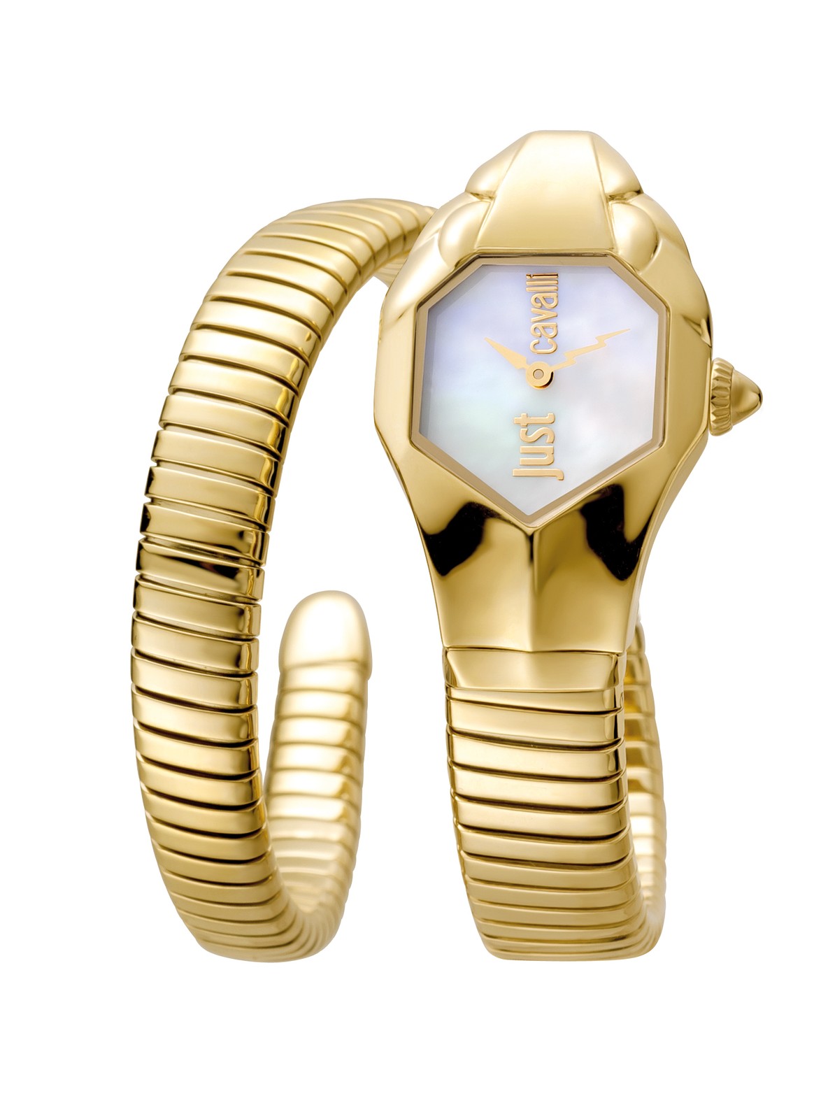 Just Cavalli Women’s Snake 22mm Quartz Watch JC1L001M0025