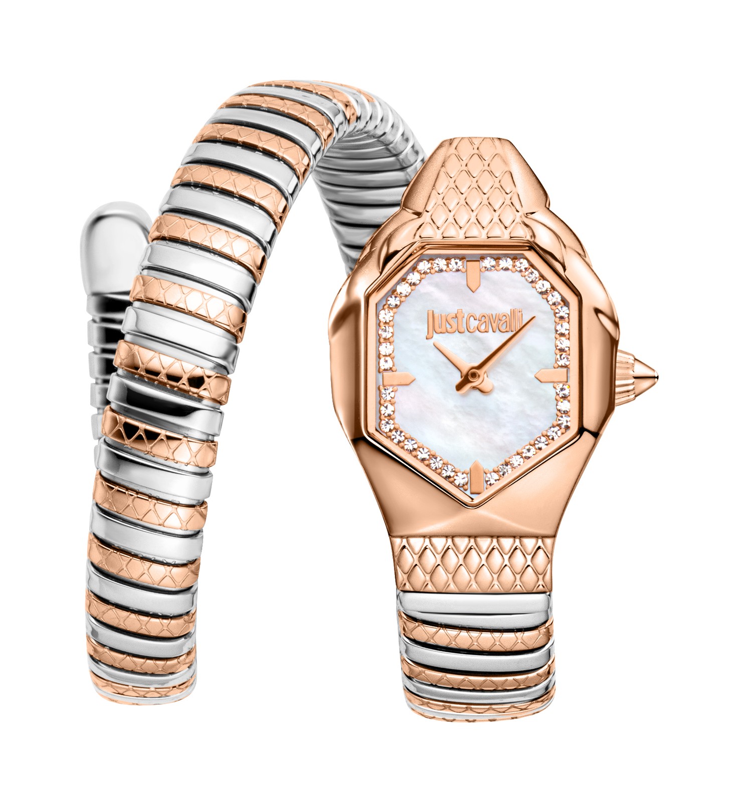 Just Cavalli Women’s Snake 22mm Quartz Watch JC1L369M0075