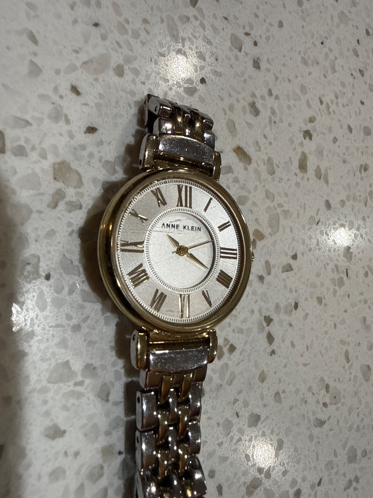 Anne Klein AK/2159 Women Two-Tone Quartz Watch FRY110