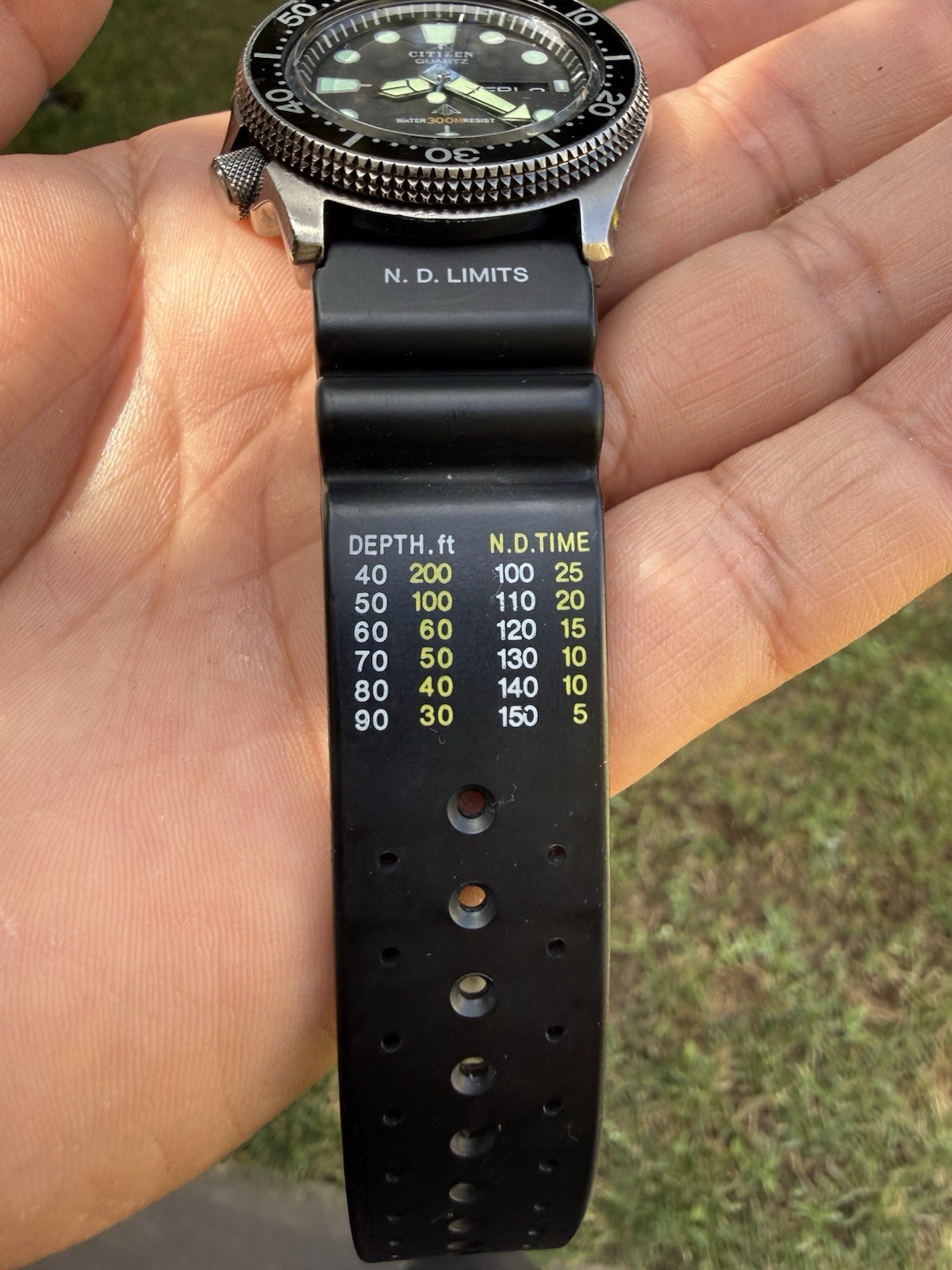 Citizen Vintage Divers watch Gun Metal.