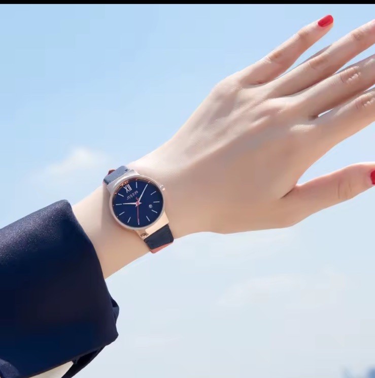 NEW Women’s Skagen Rose Gold «Anita» Watch Brown Leather Band SKW2635