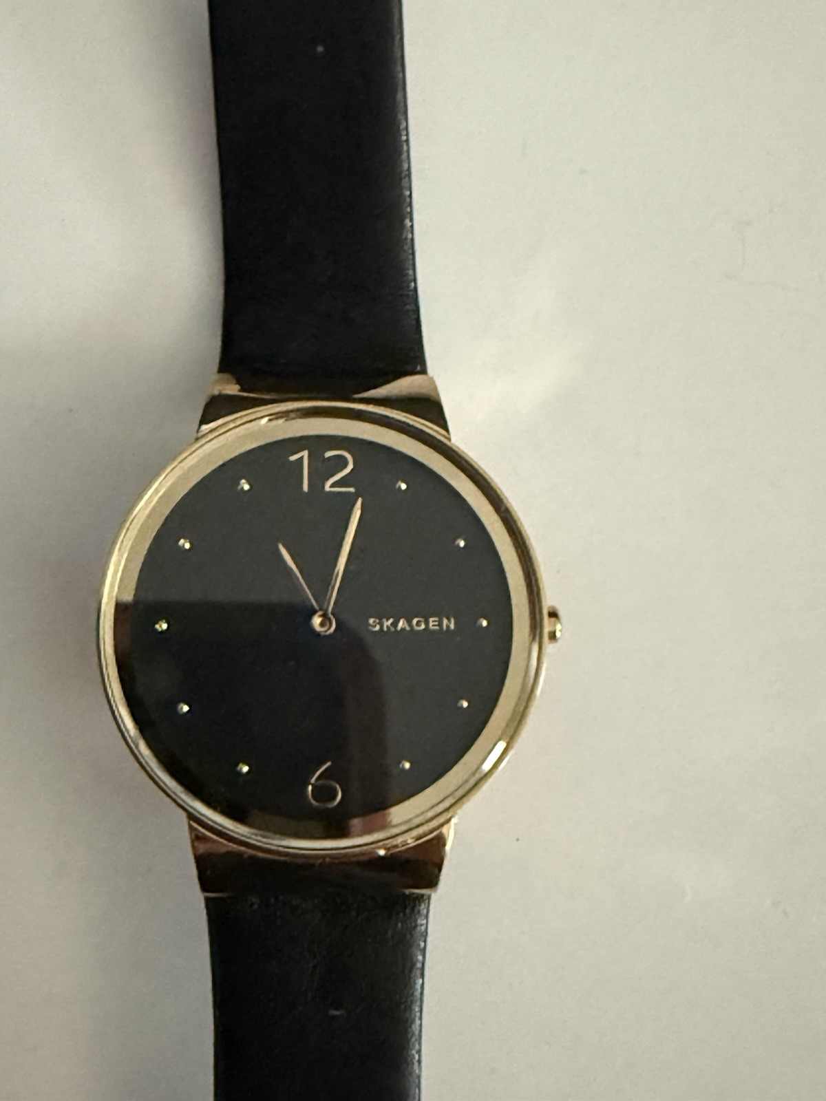 Women’s Skagen Watch