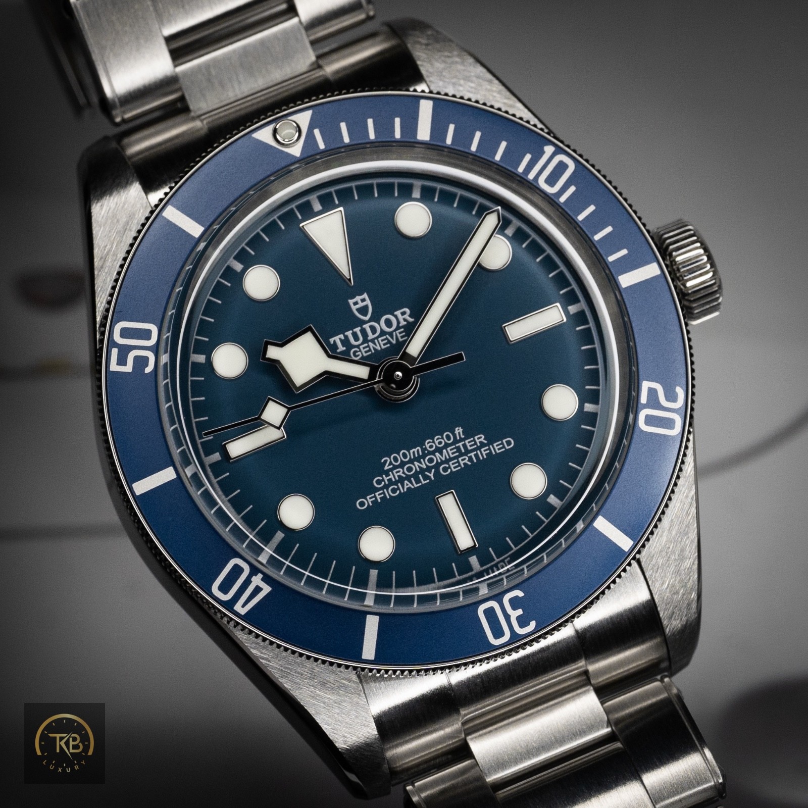 TUDOR Black Bay 58 M79030B-0001