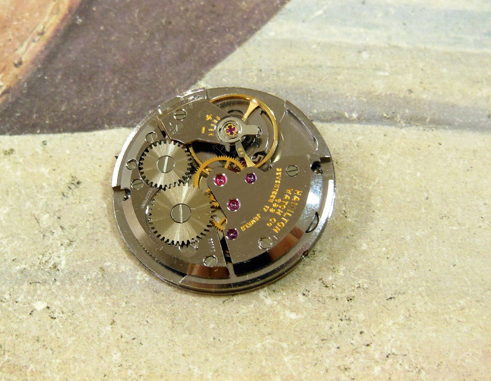 1962 Vintage HAMILTON Sea Rover II, Stunning Dial, Serviced / Warranty