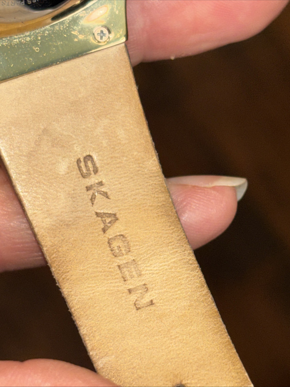 Skagen Denmark watch, model number 433XLGLD