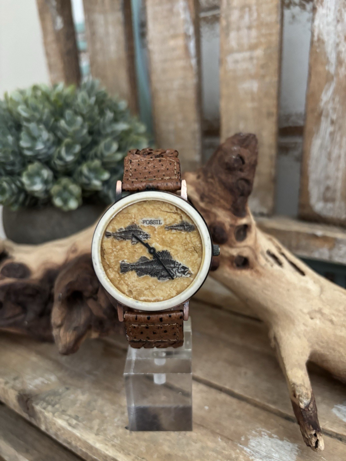 Vintage RARE 1995 FOSSIL FISH FOSSIL STONE WATCH BW-6712 NEW!