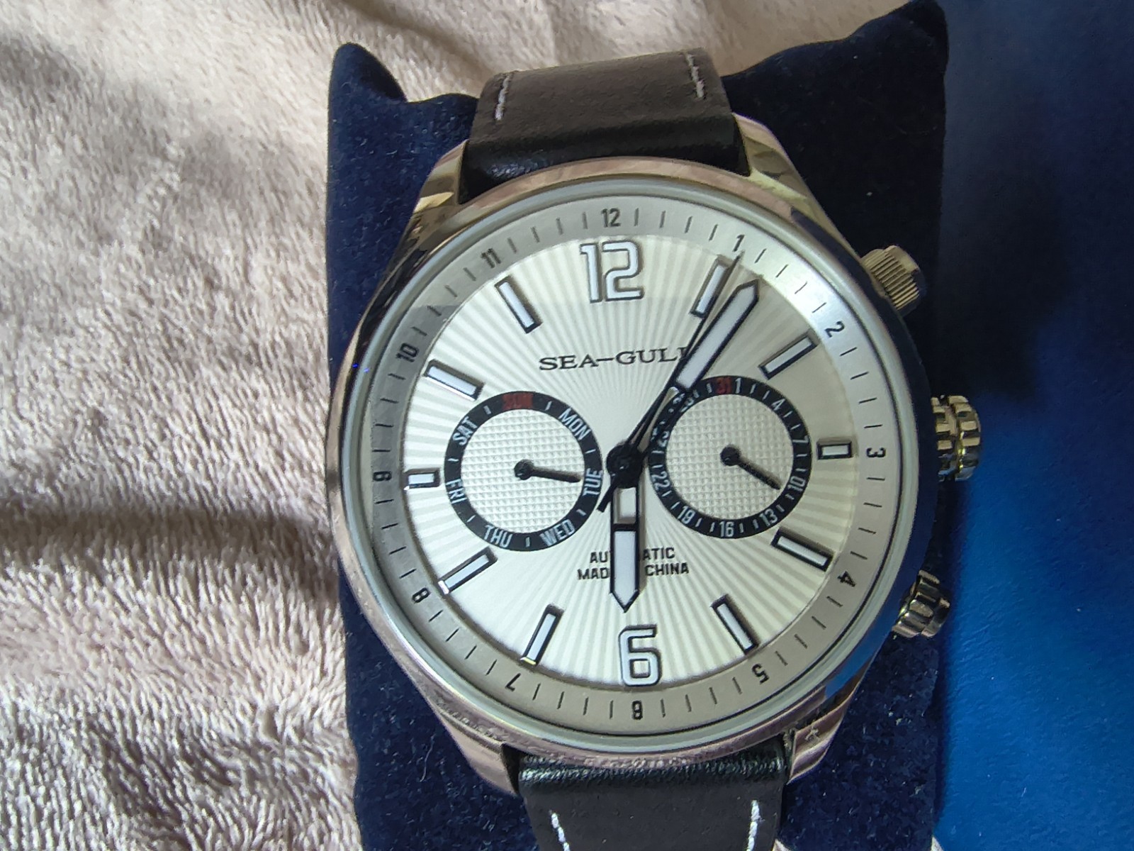 AWESOME CALENDAR Sea-Gull 2023 Men’s Watch Display Case Back