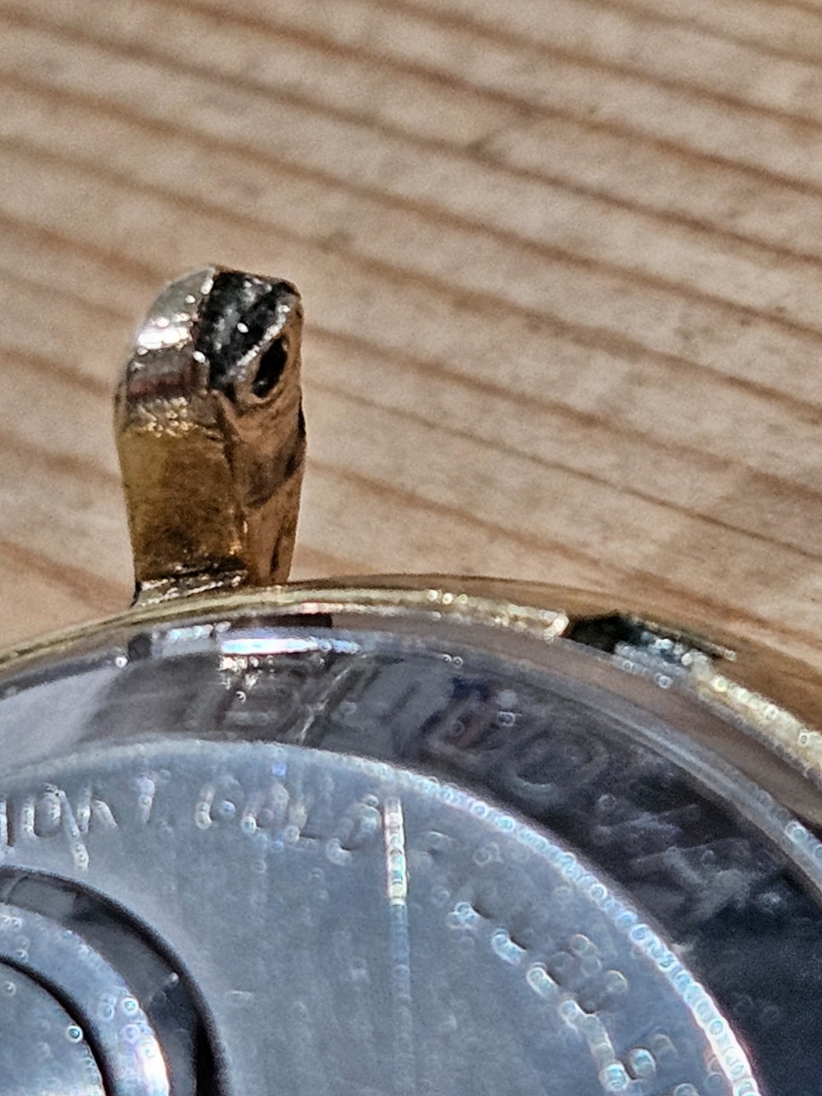 VTG Bulova Accutron Spaceview Tuning Fork Watch 1969 – 10K Gold Filled Bezel