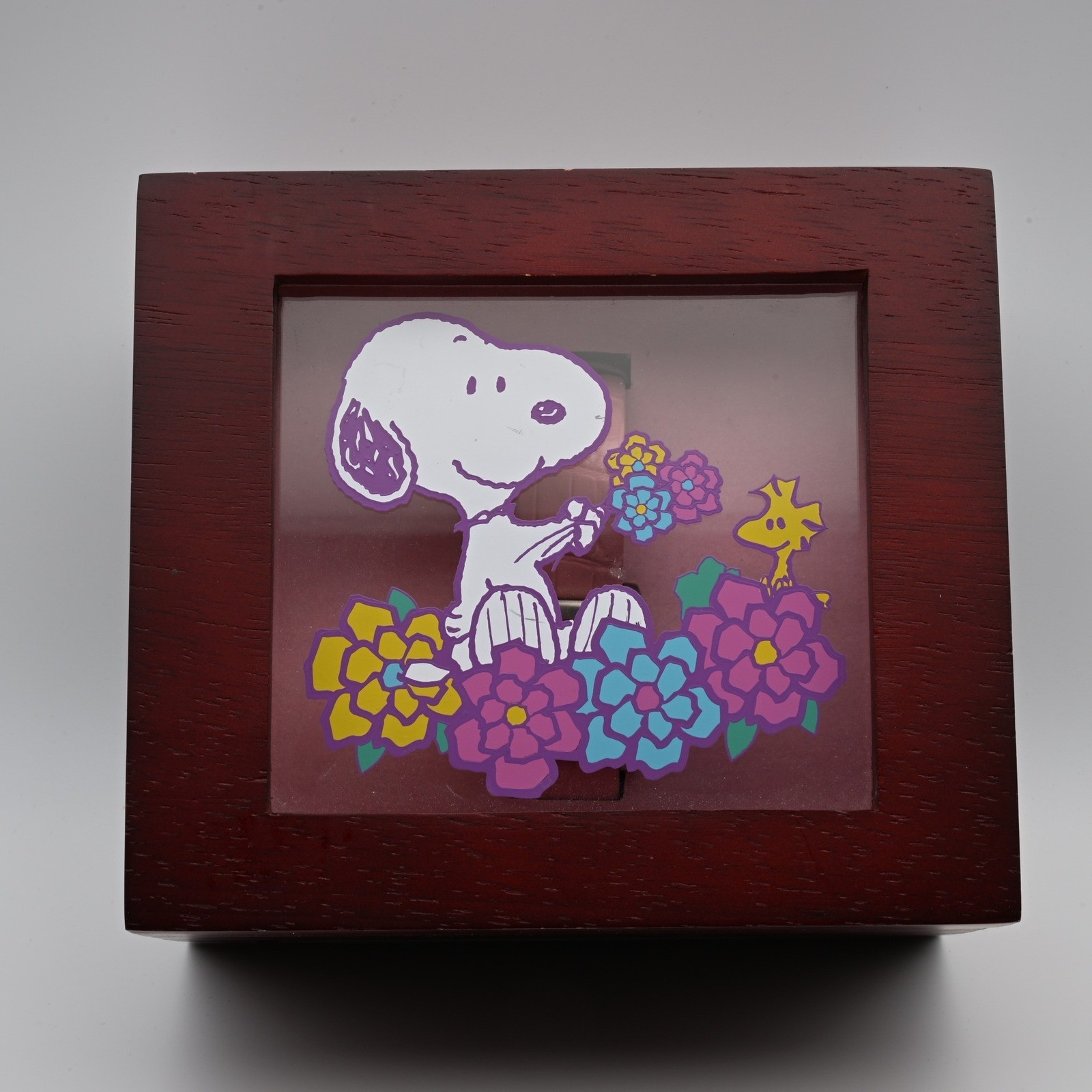 Rare Fossil Limited Edition Snoopy Watch Pink Leather Peanuts Box 416/2000
