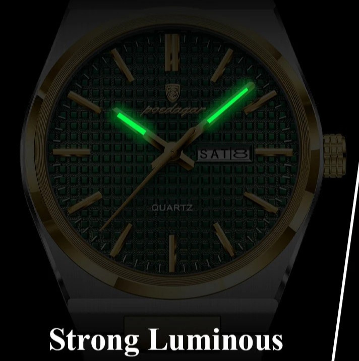 POEDAGAR Men’s Luxury Japanese Quartz Watch Waterproof Stainless Luminous NEW