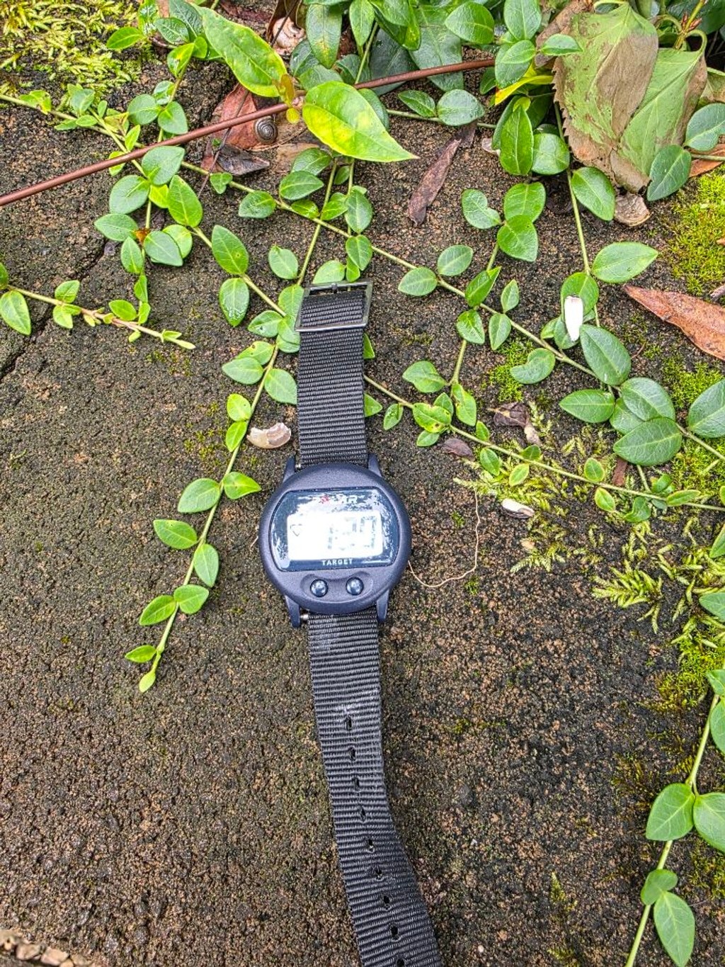 Men’s Polar Black Gray Digital Watch One Size