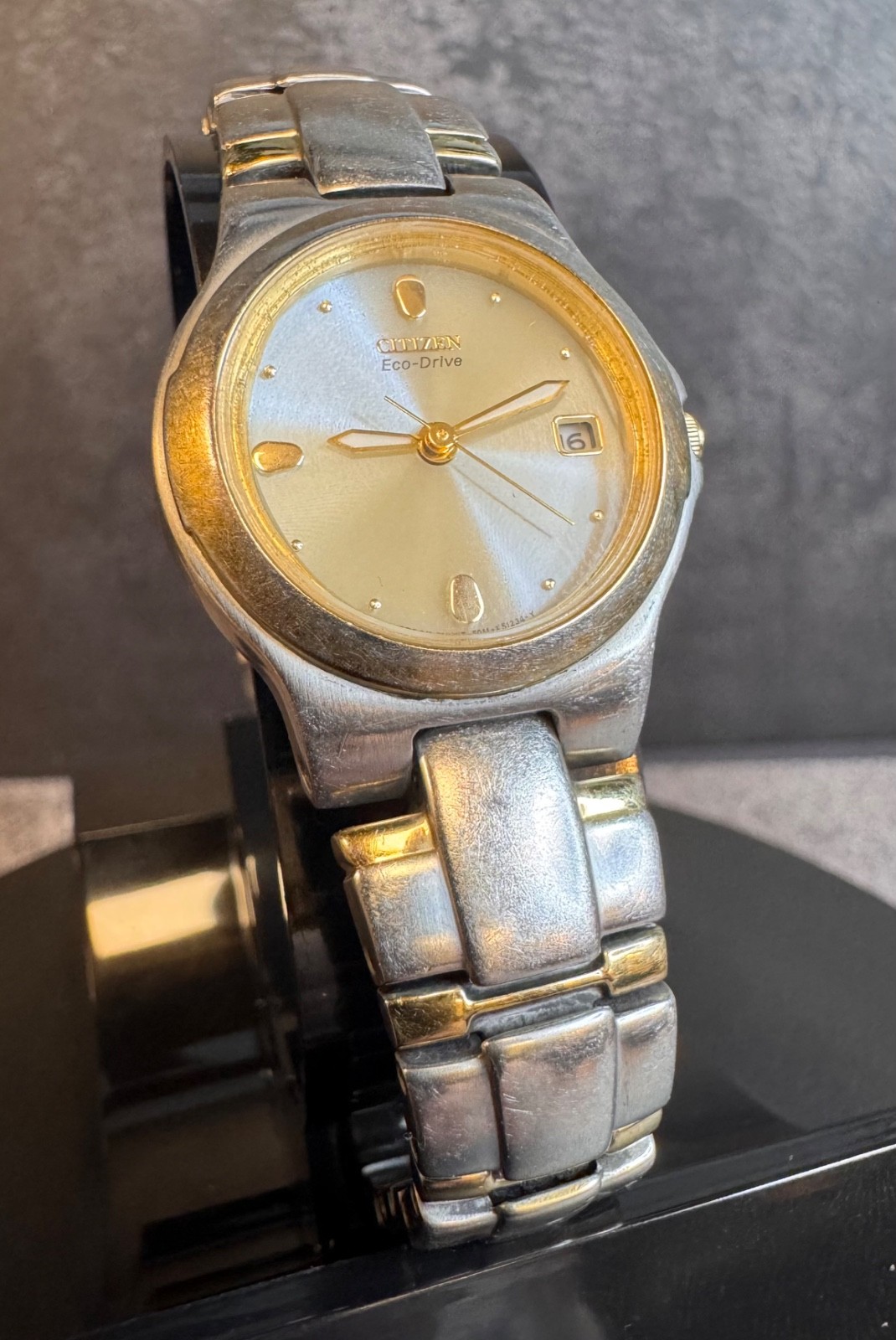 Citizen Eco-Drive Watch VTG E011-K16784 Two-Tone Stainless Steel Bracelet Unisex