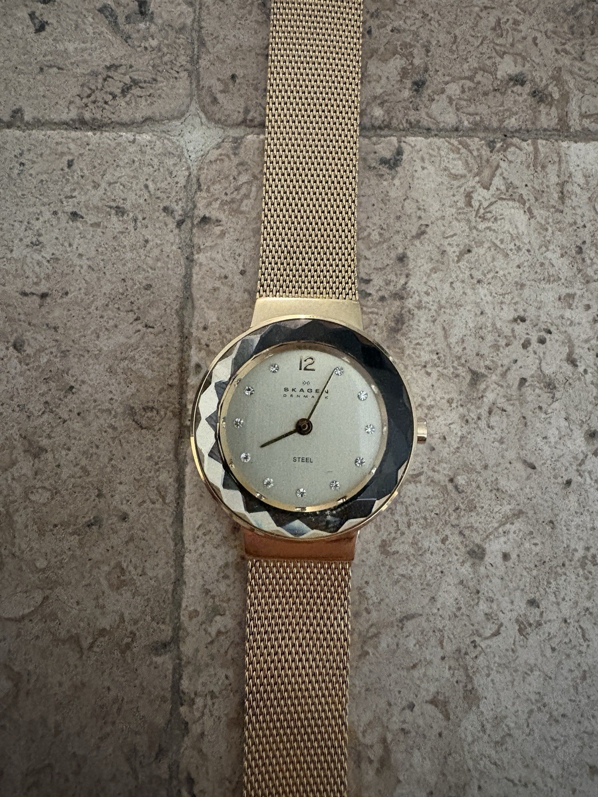 Skagen Denmark Quartz Watch Water Resistant 22 Cm 922SGG Read Description