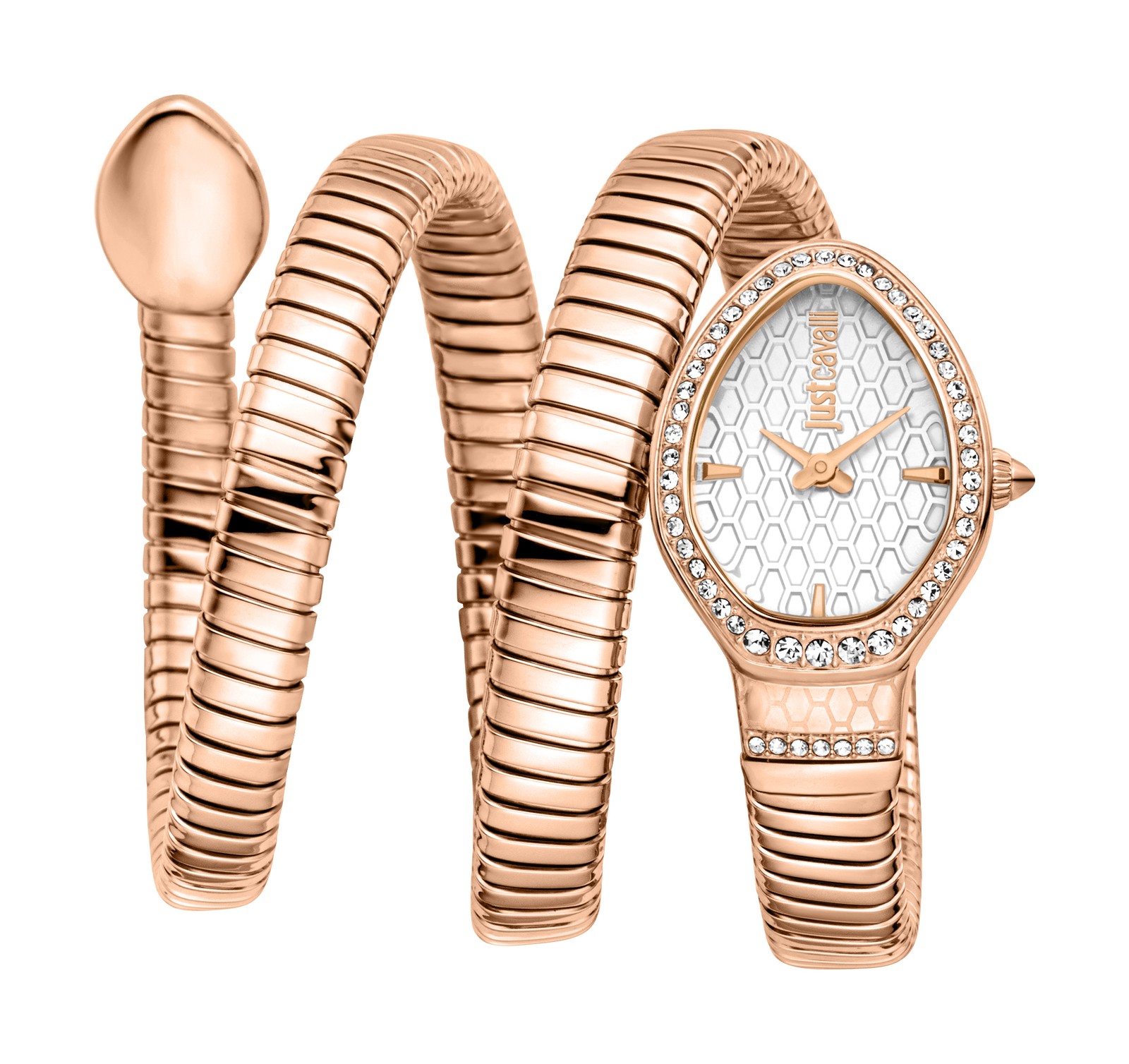 Just Cavalli Women’s Carezza 22mm Silver Quartz Watch JC1L372M0045