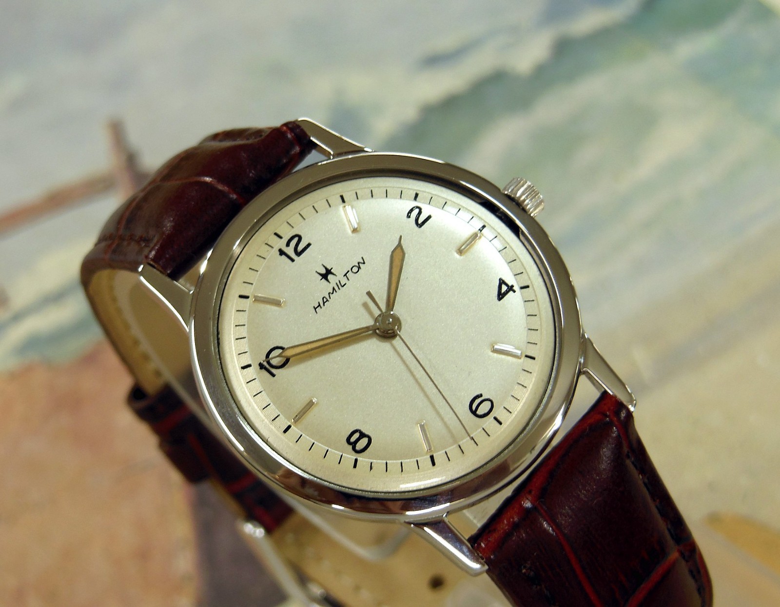 1962 Vintage HAMILTON Sea Rover II, Stunning Dial, Serviced / Warranty