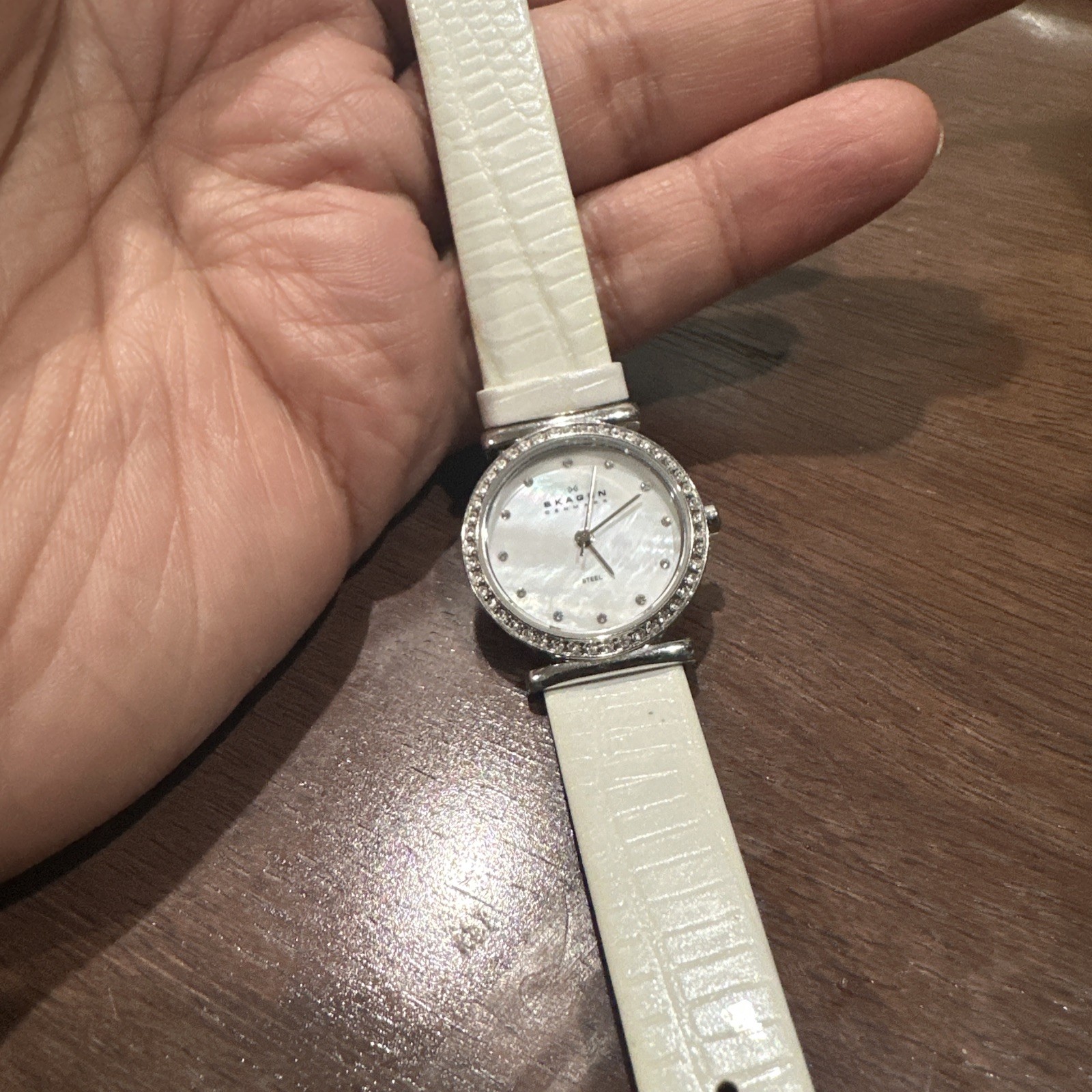 Untested Skagen Denmark Ladies Mother of Pearl Face Watch Water Resistant 3 ATM