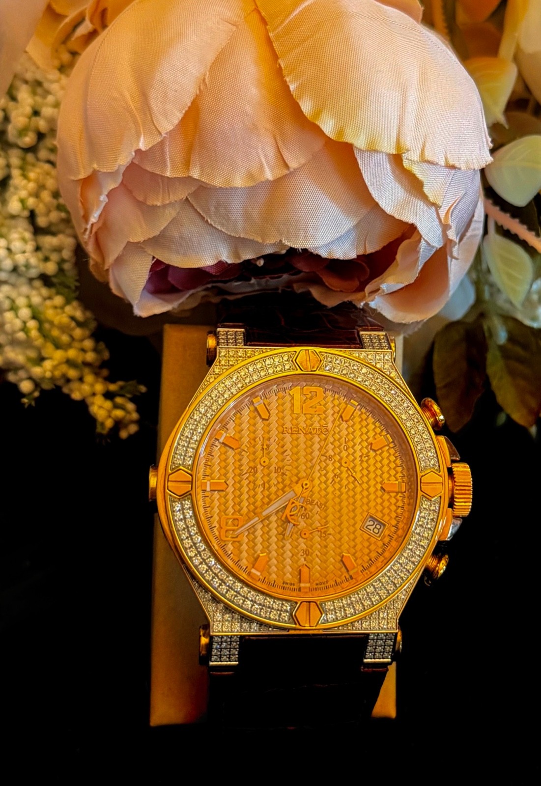 Renato Wilde Beast Ltd. Prod. 56/180 Worldwide DIAMONDS 49mm Case Men’s, but….