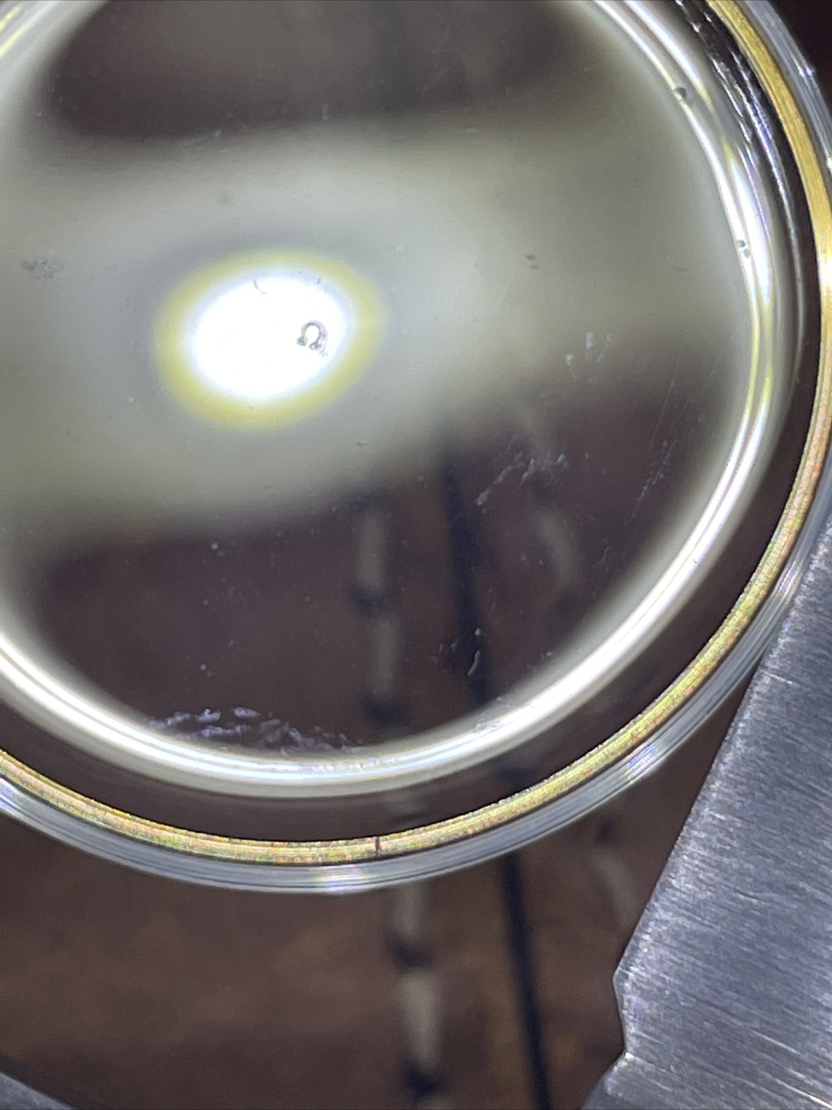 Omega NOS Plexiglass 33mm Gold Reflector