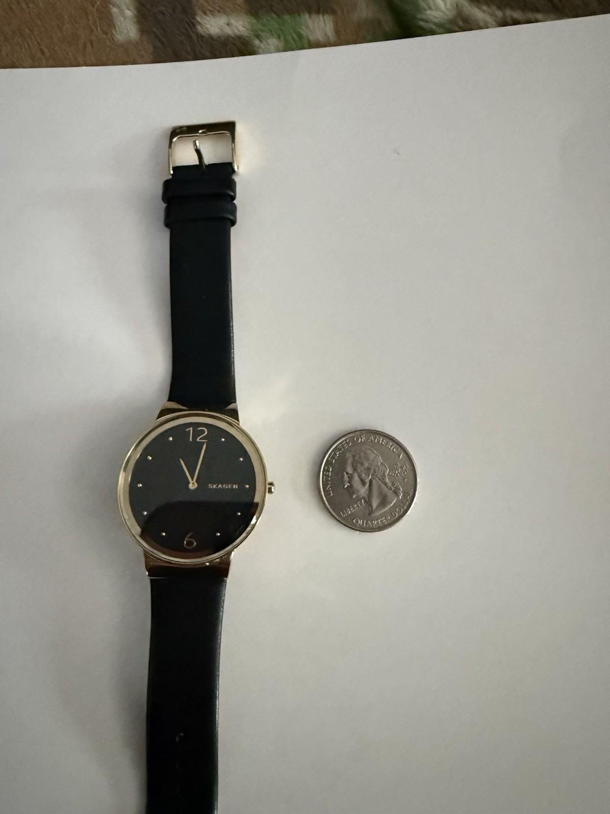 Women’s Skagen Watch