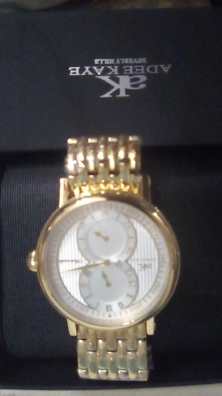 Adee Kaye Mondo G-3 Automatic 43mm Gold SS Roman Dial, Box, 50m WR