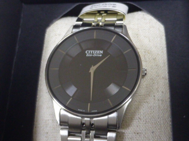 Citizen Chizen Collection AR3010-65E Eco Drive Men’s Watch from Japan New